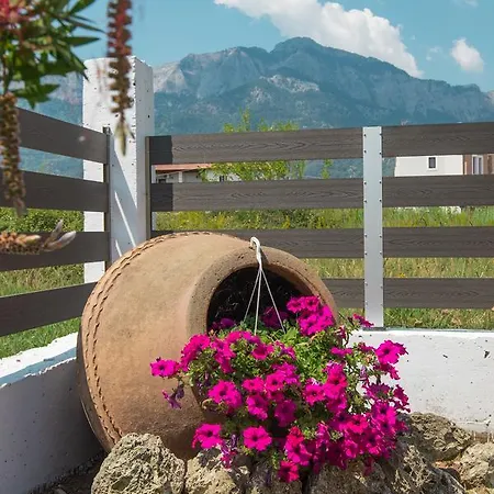 Emotions Lägenhet Skala Potamia (Thasos)