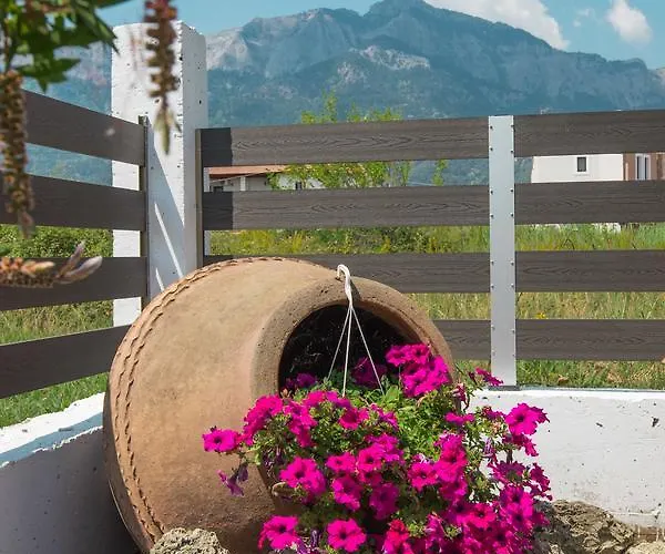 Emotions Апартаменты Скала-Потамиас